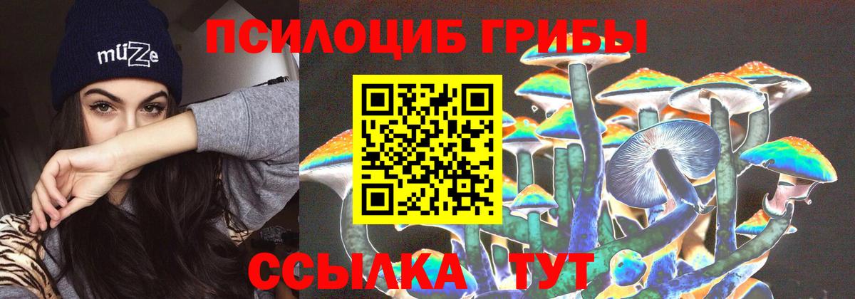 Галлюциногенные грибы мицелий Кудымкар