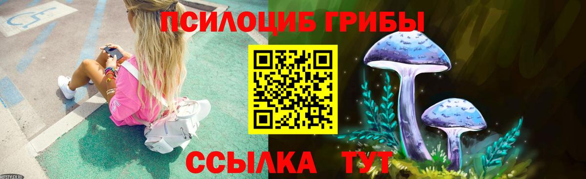 Кудымкар  Псилоцибиновые грибы Magic Shrooms  Вход с VPN 